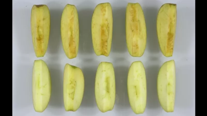 manzana que no se oxida