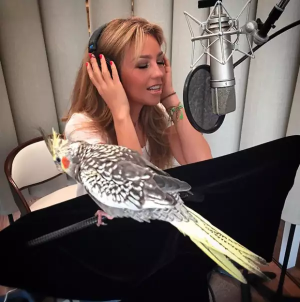 Con esta publicación Thalía anunció su regreso al estudio de grabación.