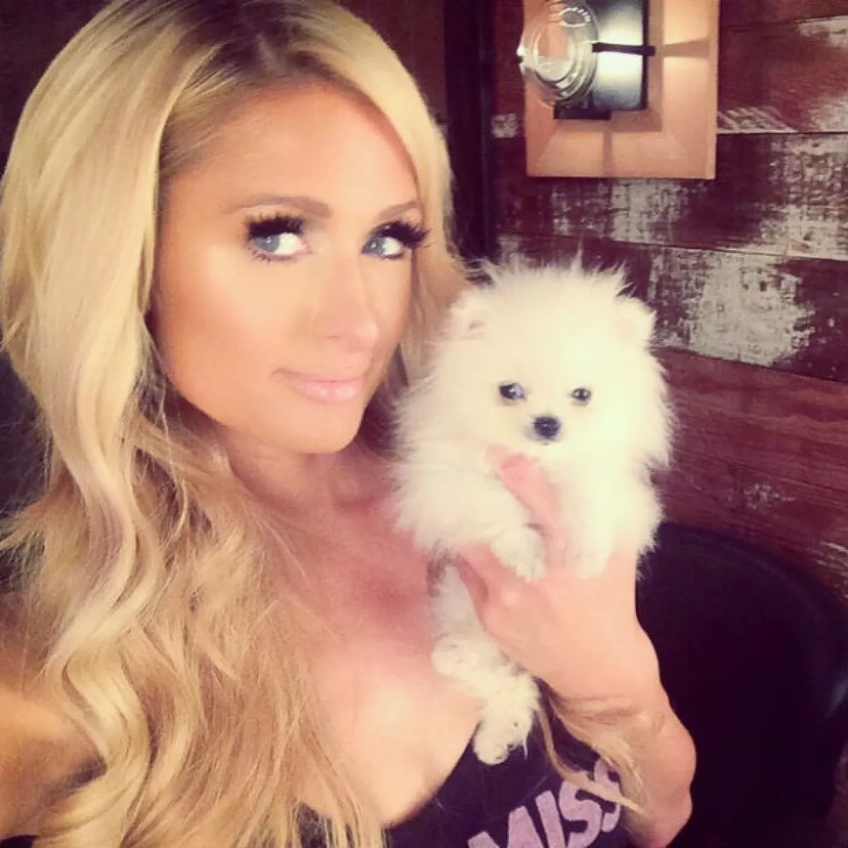 Paris se ha convertido en la mamá consentidora de su adorable pomerano miniatura.