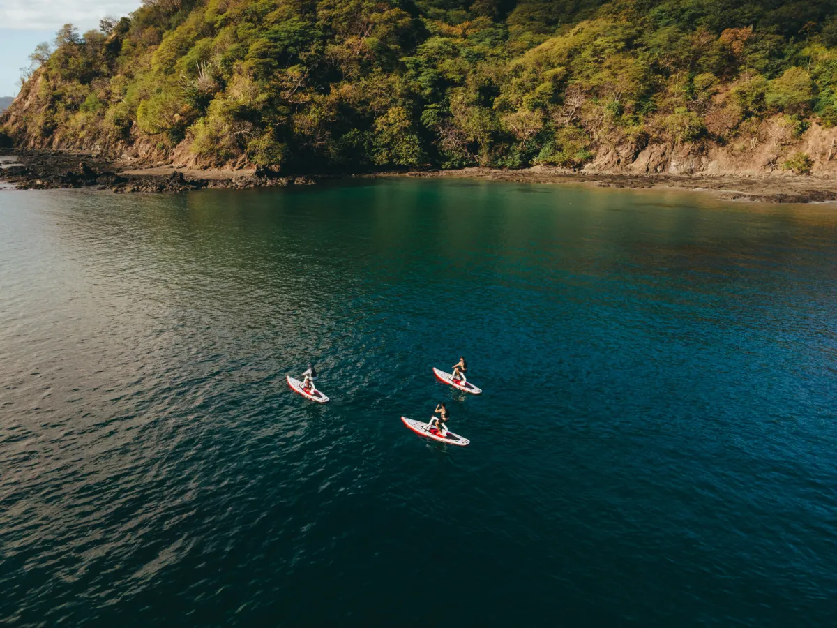 paddle-board-four-seasons.jpg