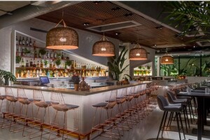 plant-miami.jpg