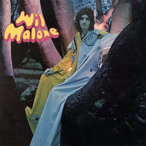 Vinilo 4.jpg