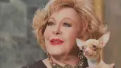 Cosita, la perrita de Silvia Pinal, extraña a la diva y llora al oler un abrigo de la actriz 