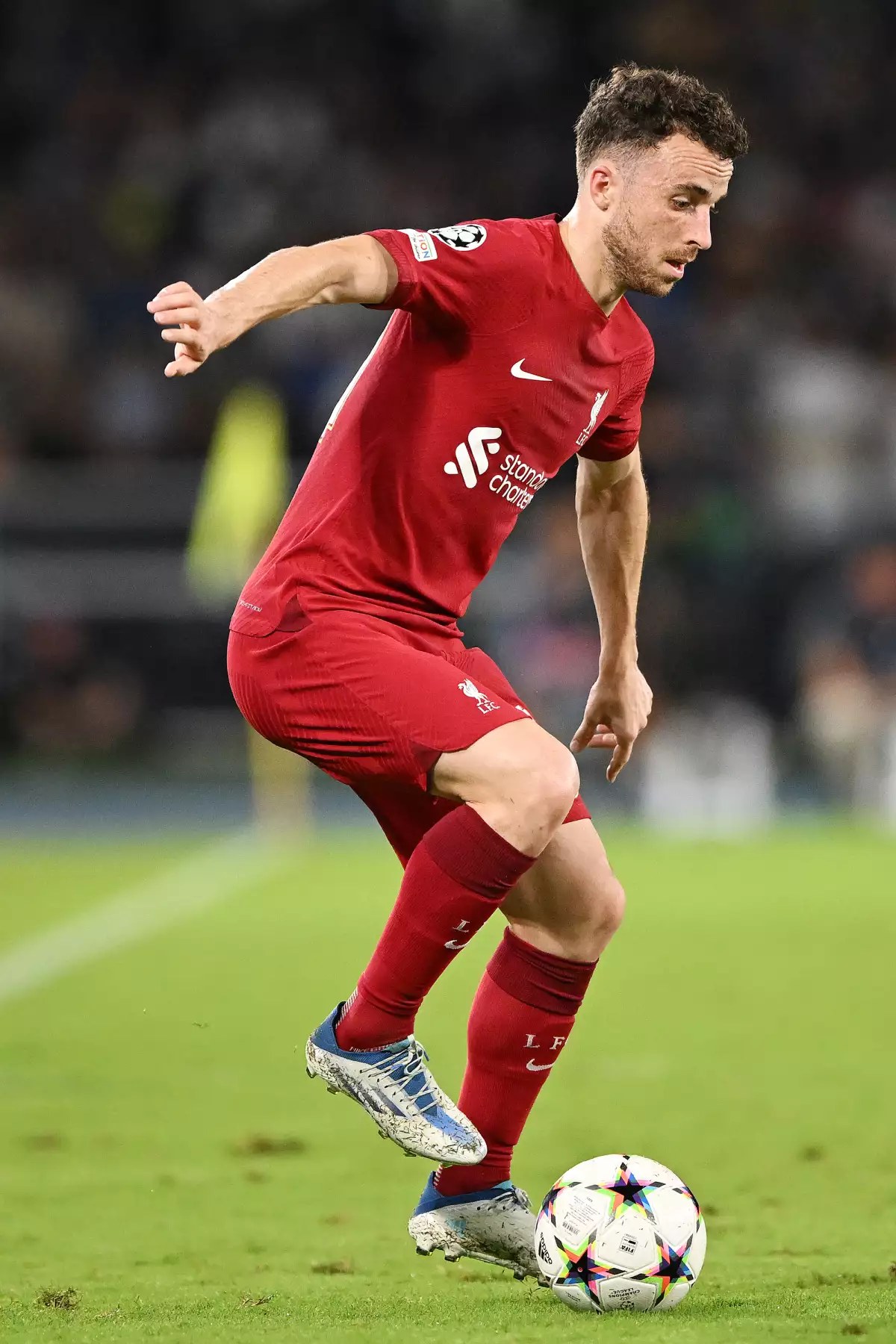 SSC Napoli v Liverpool FC: Group A - UEFA Champions League