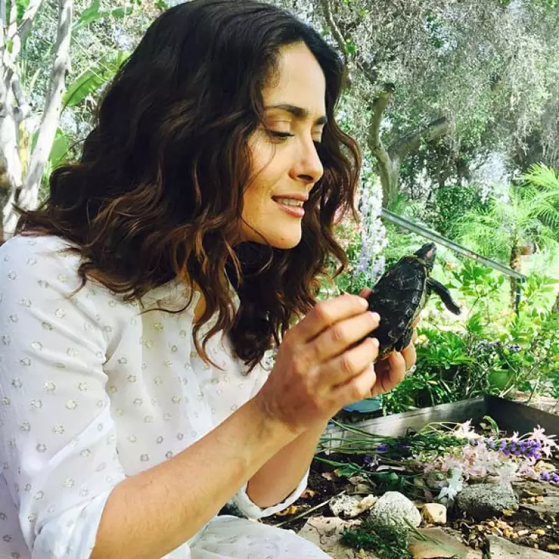 Desde que abrió su cuenta en Instagram, la actriz no ha dejado de publicar lo mucho que cuida a sus mascotas y a los animales que se encuentra diariamente.