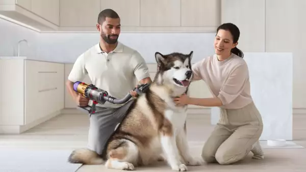 Dyson lanza gadget para aspirar pelo de perros y gatos