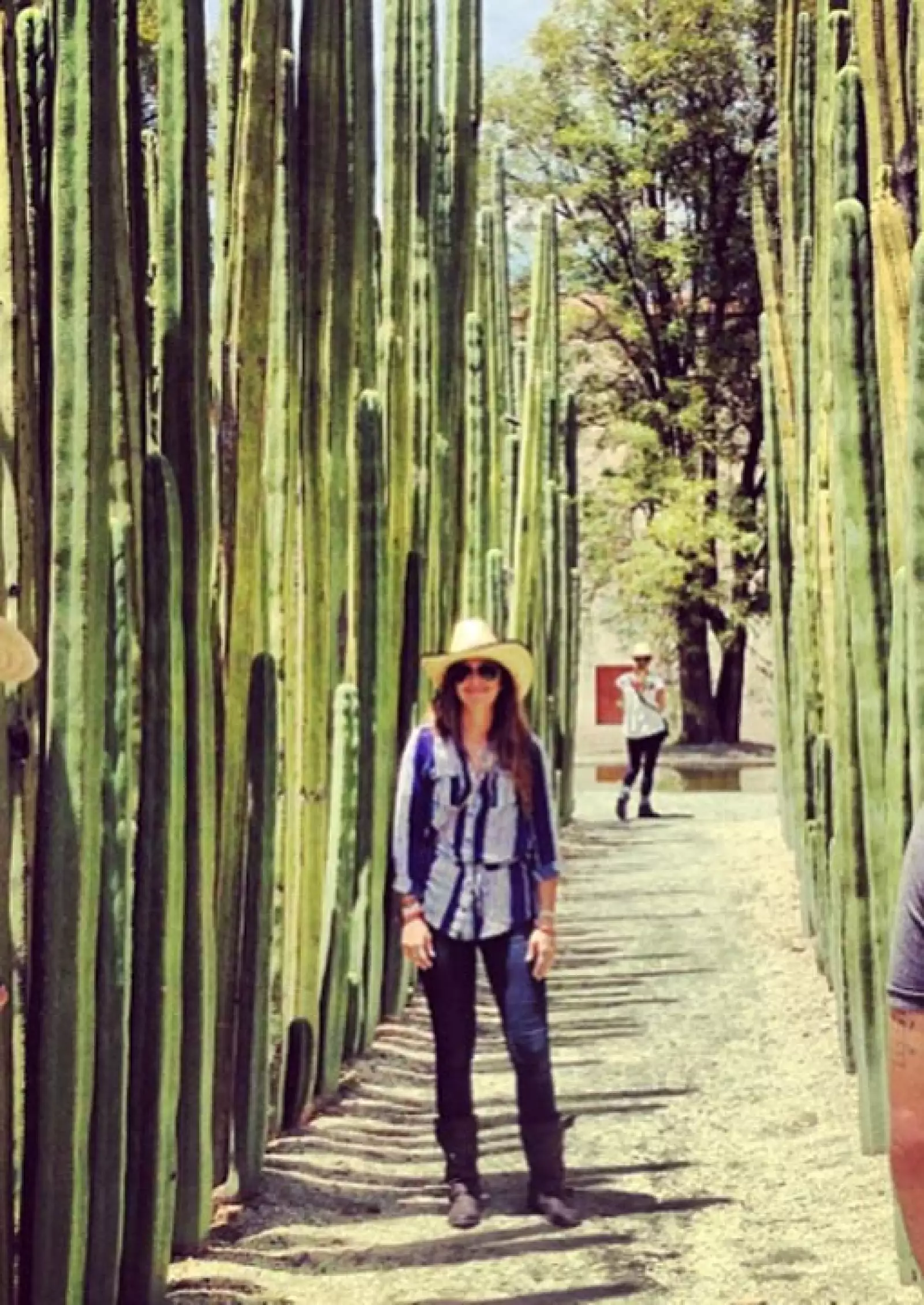 Casual en una tarde en el jardín botánico de Oaxaca.