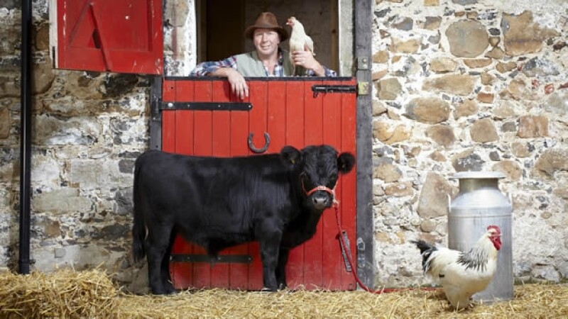 Archie el toro más bajo Guinness