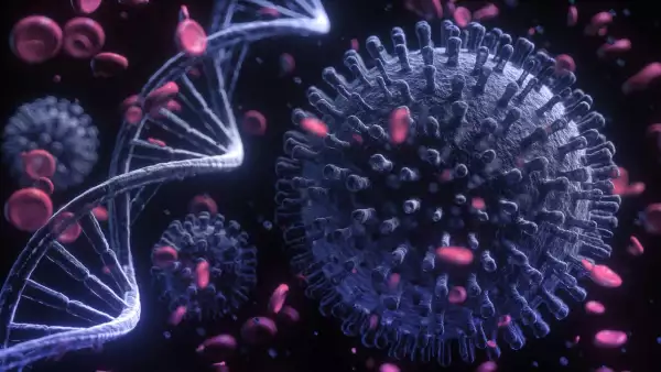 Una imagen de virus vista en un microscopio que hace referencia a las variantes del COVID-19.