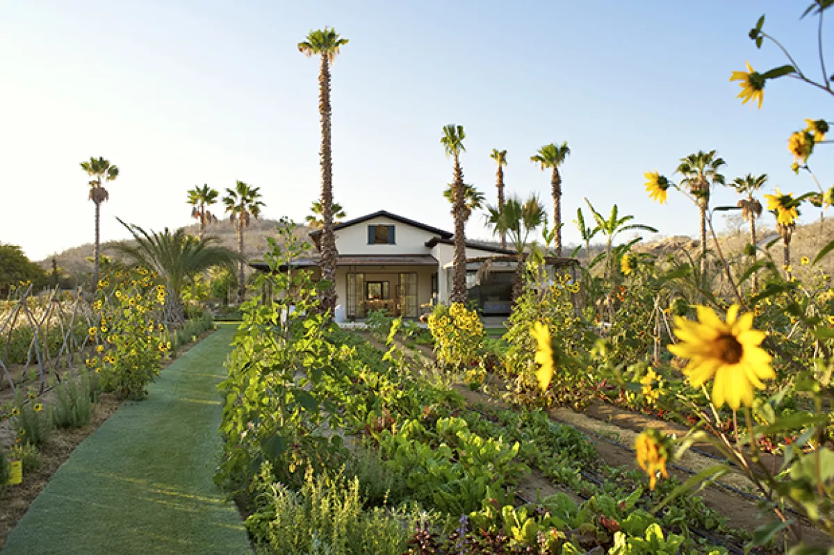 Es un concepto único, toda la comida es producida ahí mismo