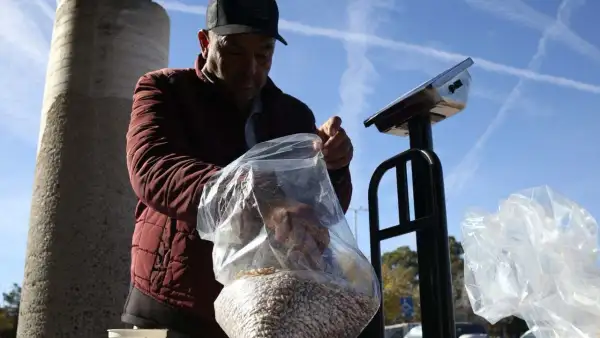 Un hombre pesa frijoles en una báscula.