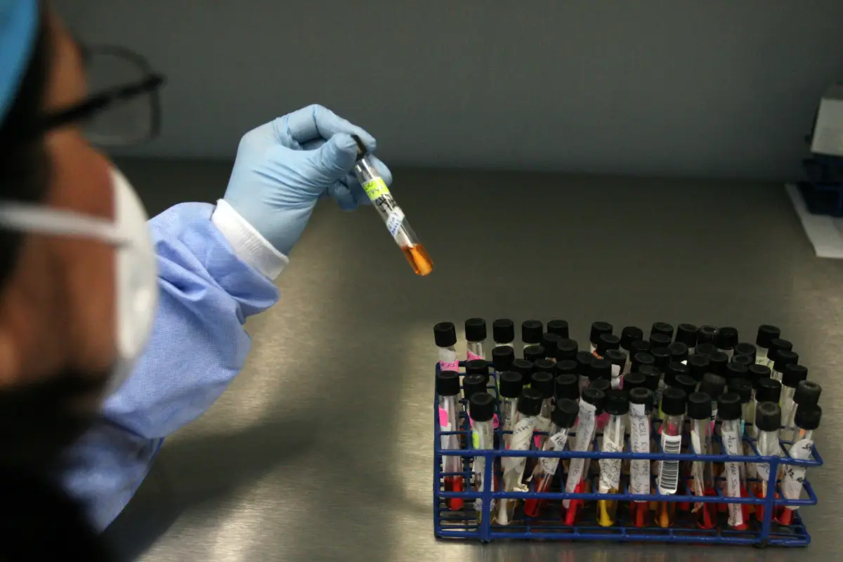 LABORATORIO BIOLOGIA MOLECULAR