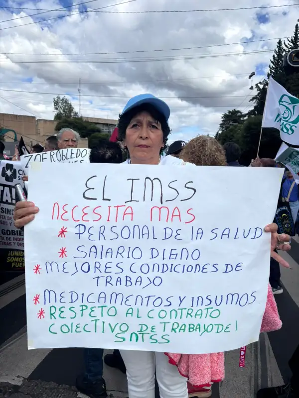 imss.jpeg