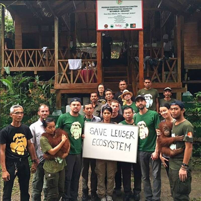 Las críticas del ganador del Oscar sobre la destrucción de los bosques tropicales hicieron que el gobierno de dicho país se molestara por su falta de información al respecto.