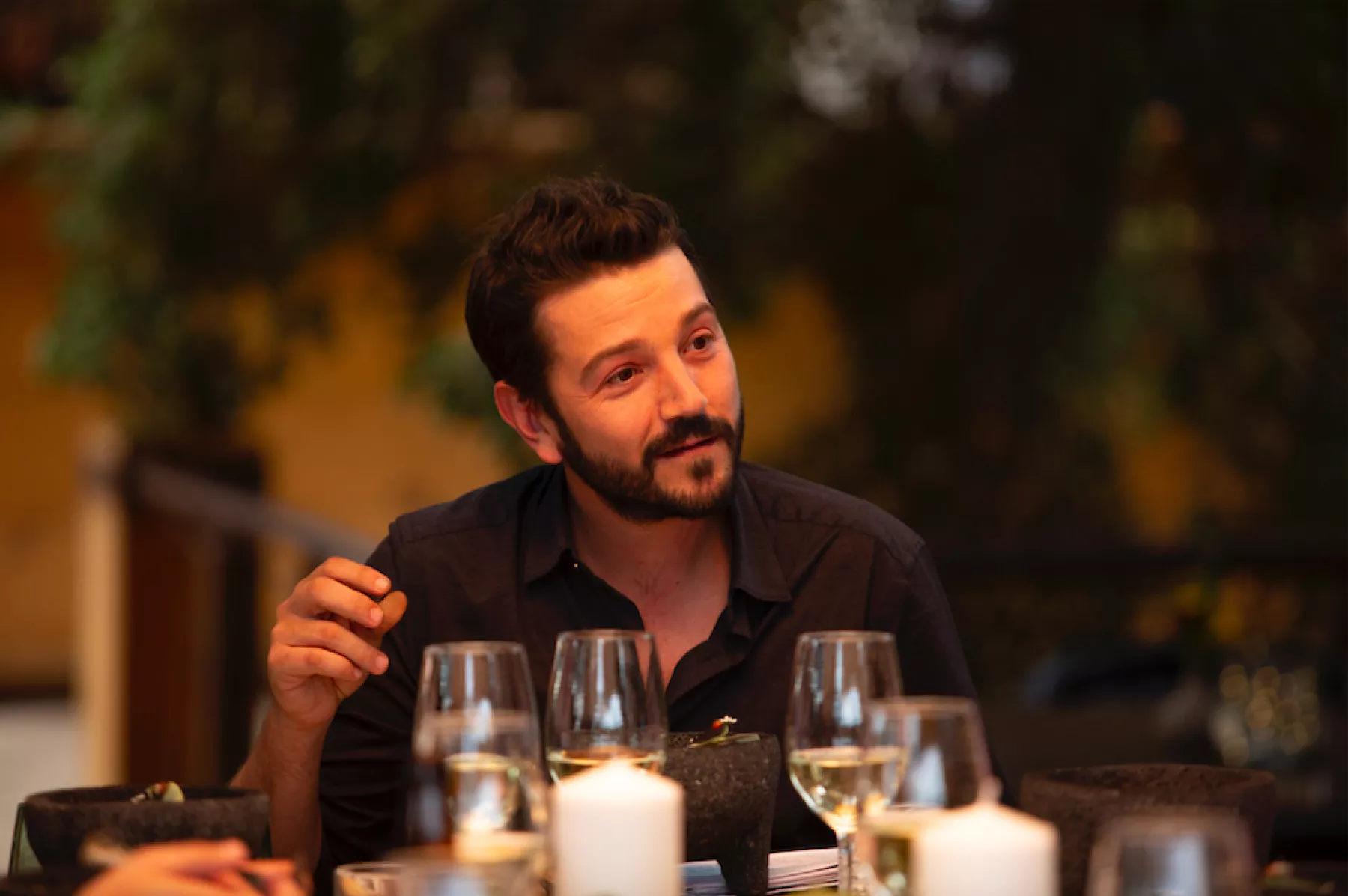 diego-luna.jpg