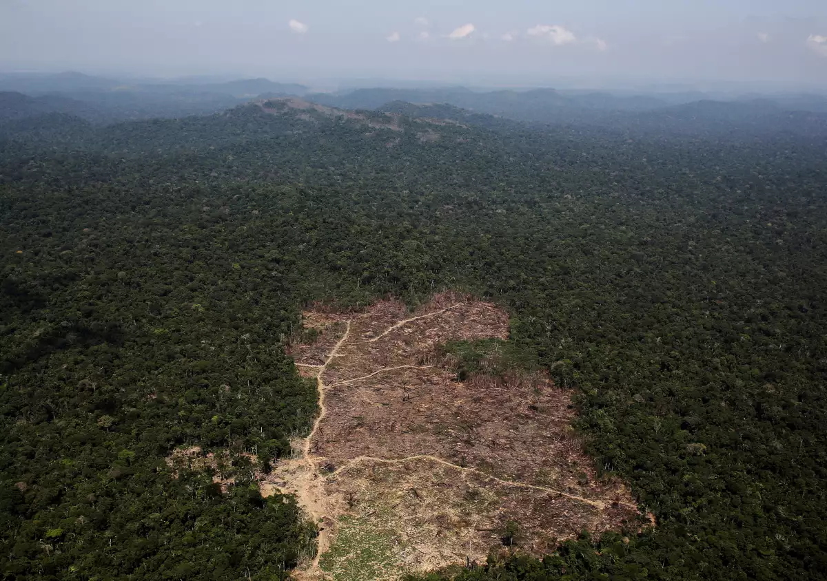 Brasil Amazonas deforestación