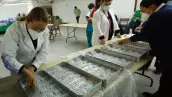 Los brigadistas deben mostrar jeringa nueva y dosis antes de vacunar