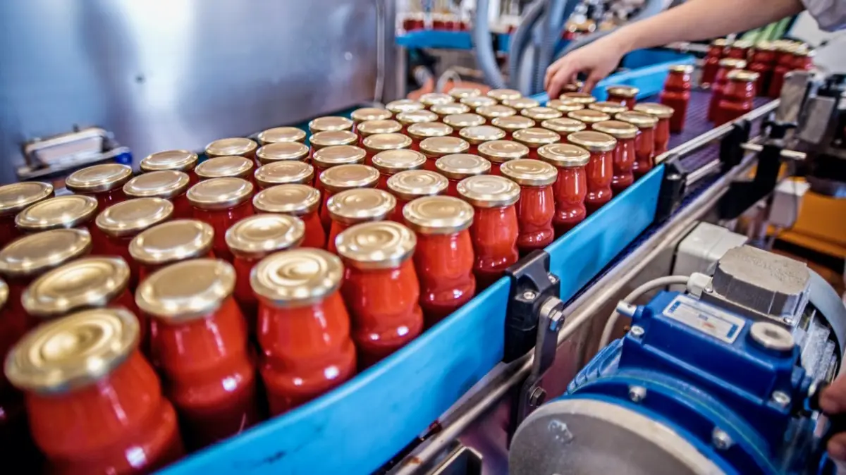 produccion-latas-pure-tomate.jpeg