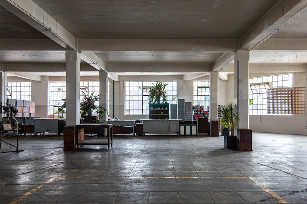 Life and Style Laguna 1.jpg