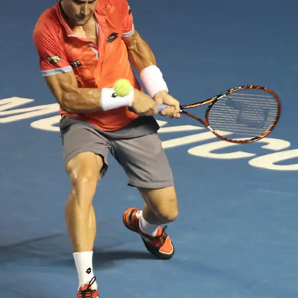 David Ferrer