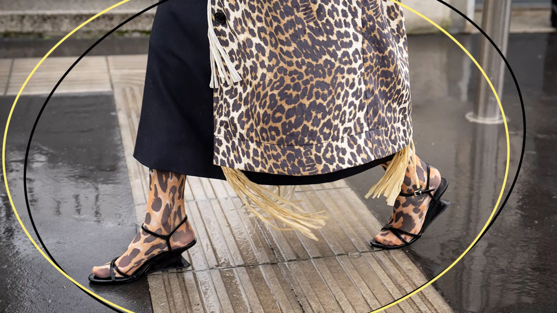 leopardo trend animal print
