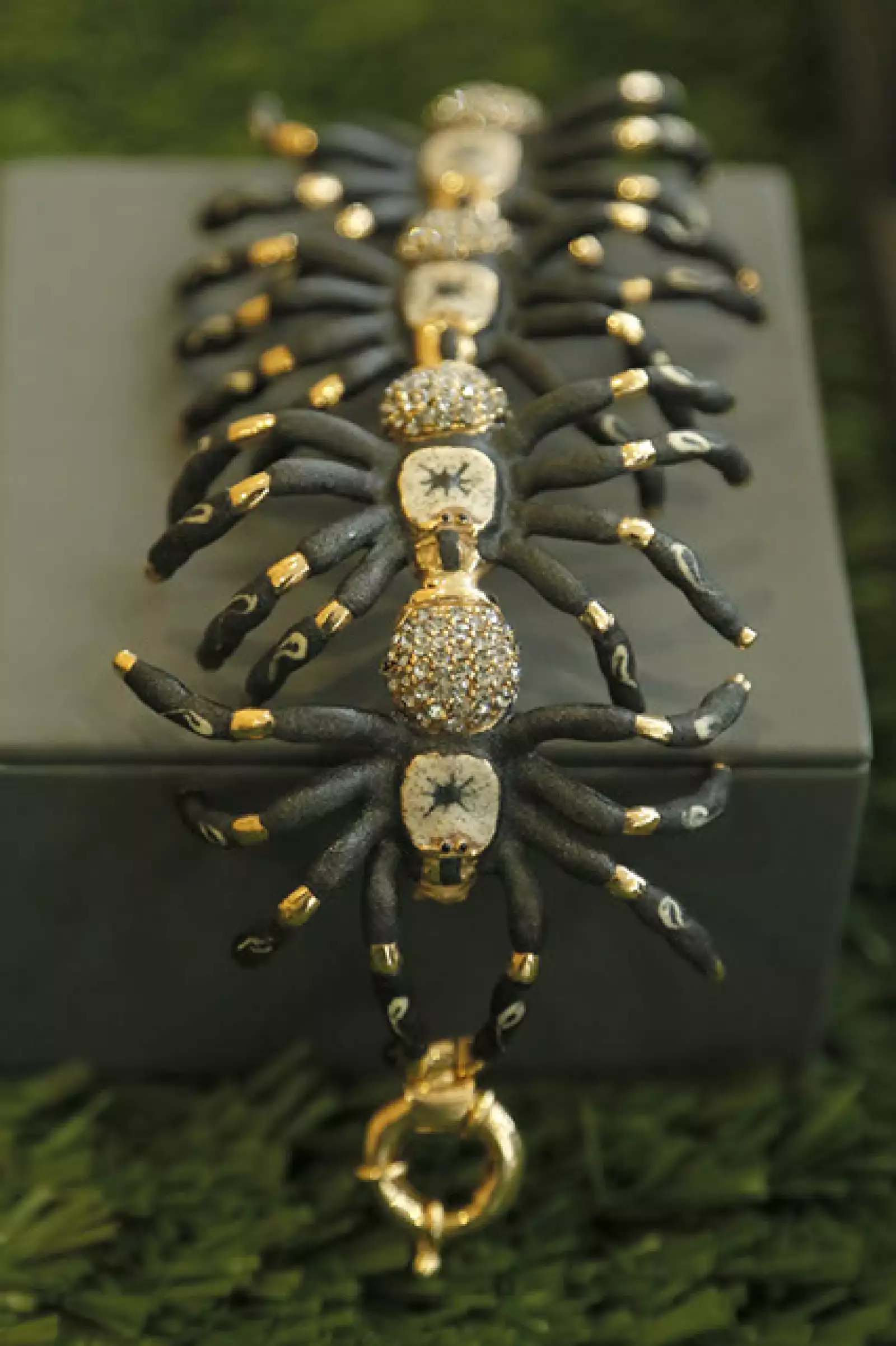 Colección Visiones de Daniel Espinosa