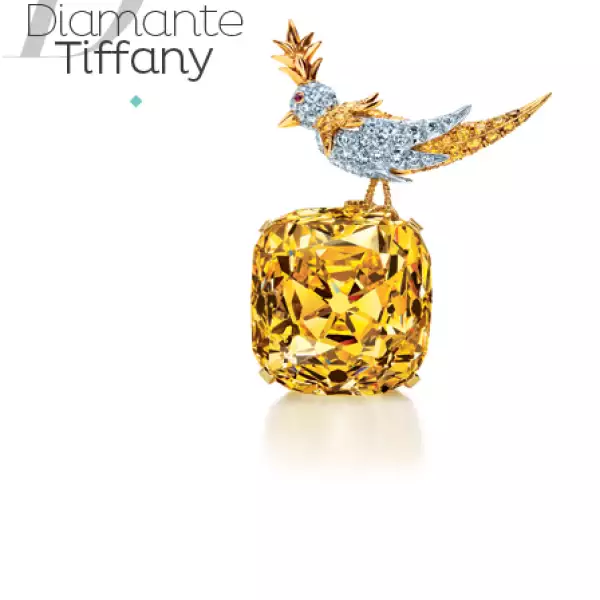 Descubierto en las minas de diamantes de Kimberley en Sudáfrica (1877) la piedra en bruto, de 287.42 quilates, fue adquirida por el fundador de la marca, Charles Lewis Tiffany, lo que consolidó su reputación como el rey de los diamantes y convirtió a su empresa en la autoridad mundial en materia de diamantes.