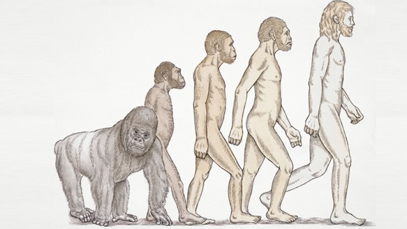 evolution
