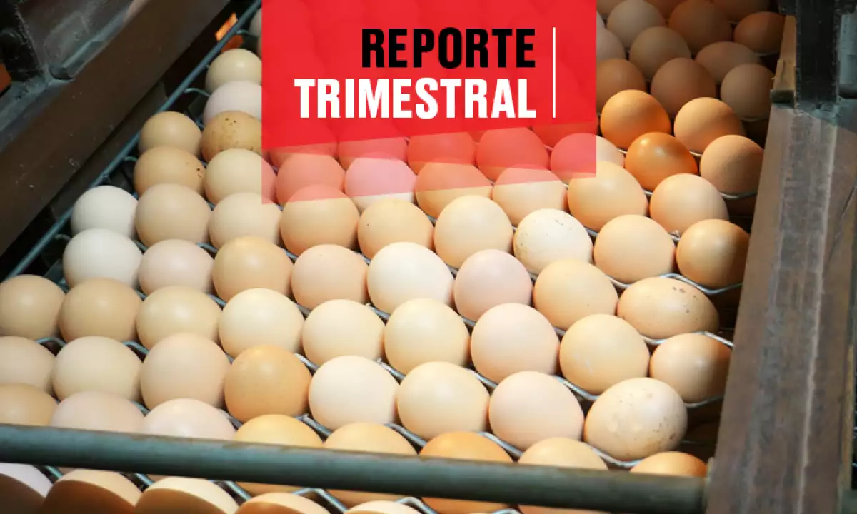 Reporte Bachoco