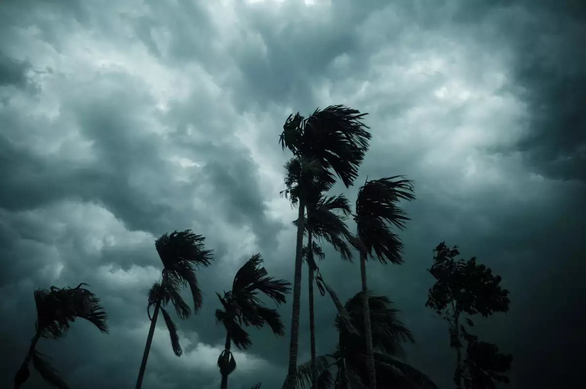 Tormenta tropical Erick se forma en el Pacífico; esta es su trayectoria