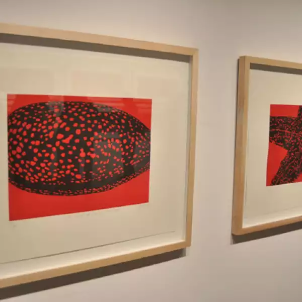 Exposición Obra Gráfica