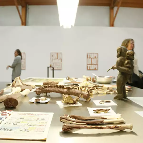 Obra de Minerva Cuevas