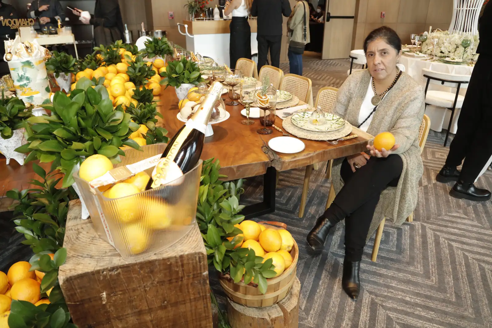 QUIBOUDICA 11102022RB010.JPG