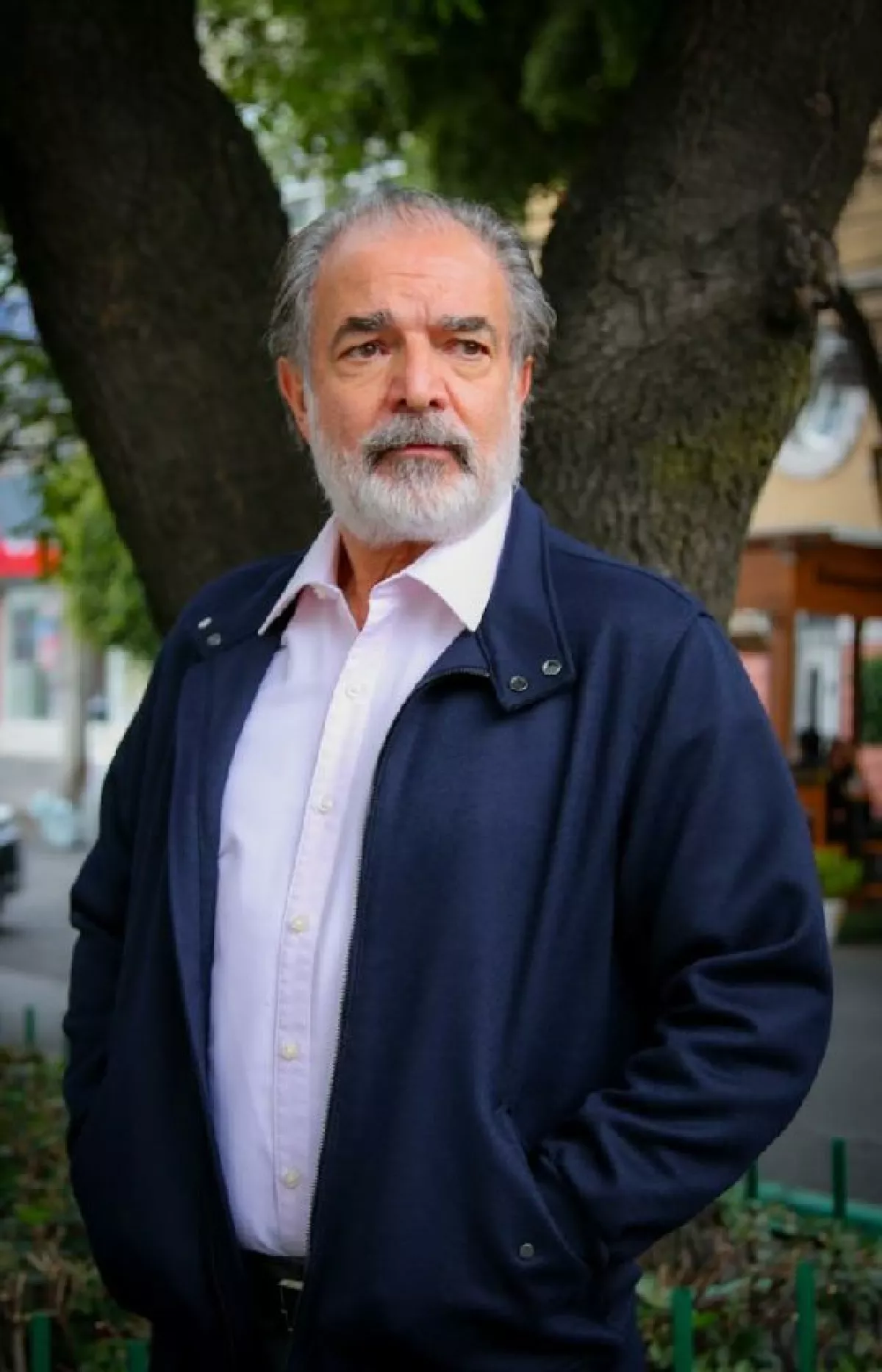 David Ostrosky