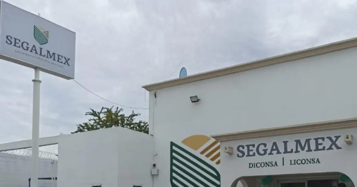 segalmex-fallas-contratos.jpg