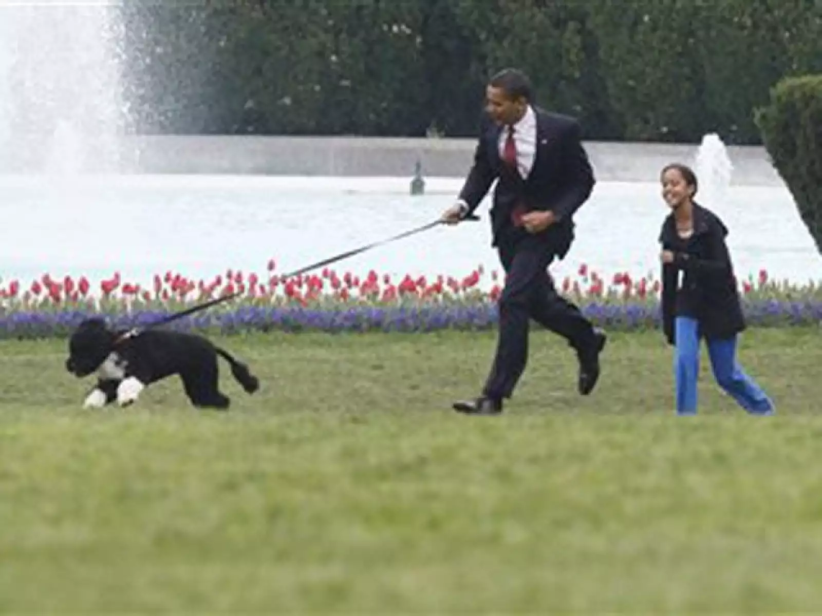 El mandatario dijo entre risas que `la huerta de Michelle corre peligro´, en alusión a las verduras que su esposa ha sembrado en un rincón de los jardines de la Casa Blanca.