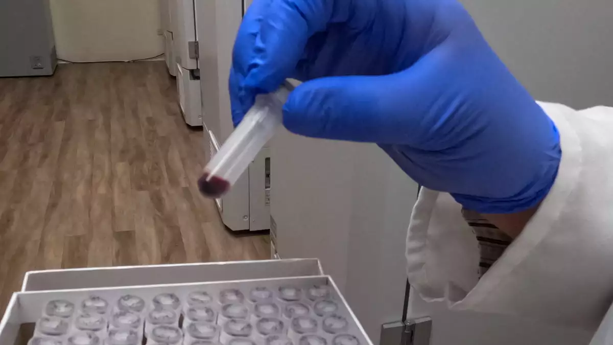 Muestras de ADN del Proyecto oriGen