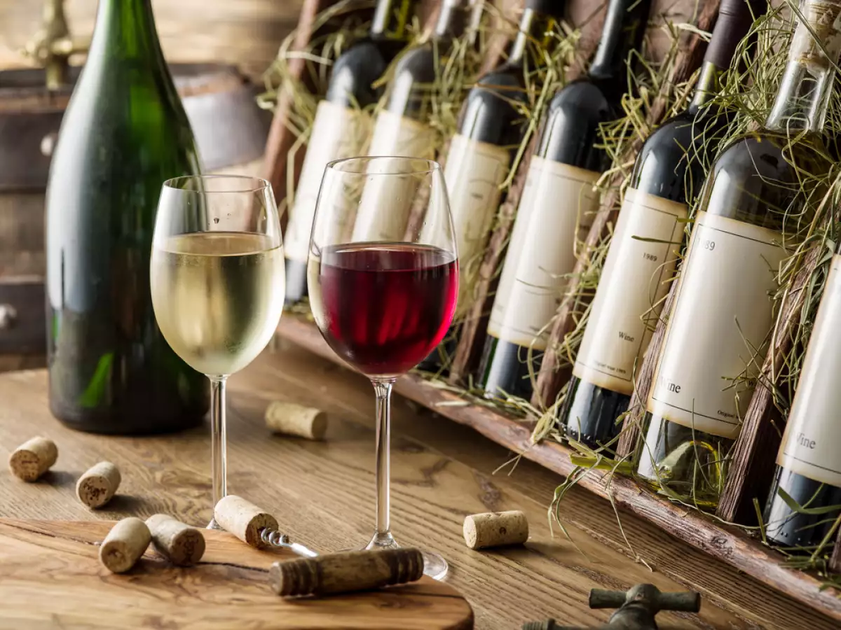 Vino