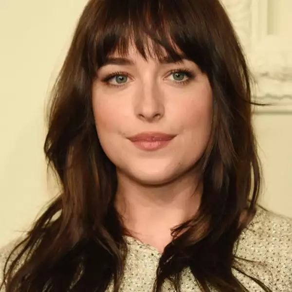 Dakota previamente había asistido al lanzamiento de la misma colección a las orillas del río Hudson.