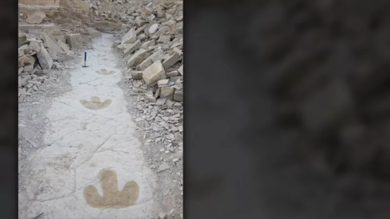 huellas de dinosaurio