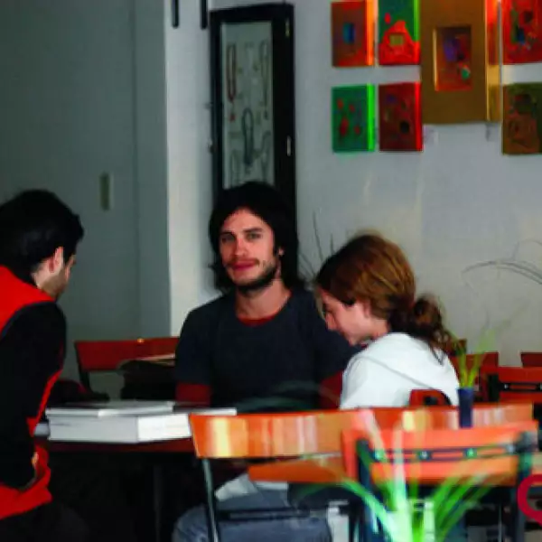 Gael García Bernal, Tamara