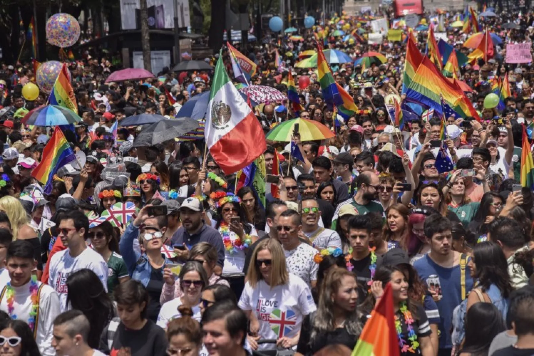 derechos lgbt.jpeg