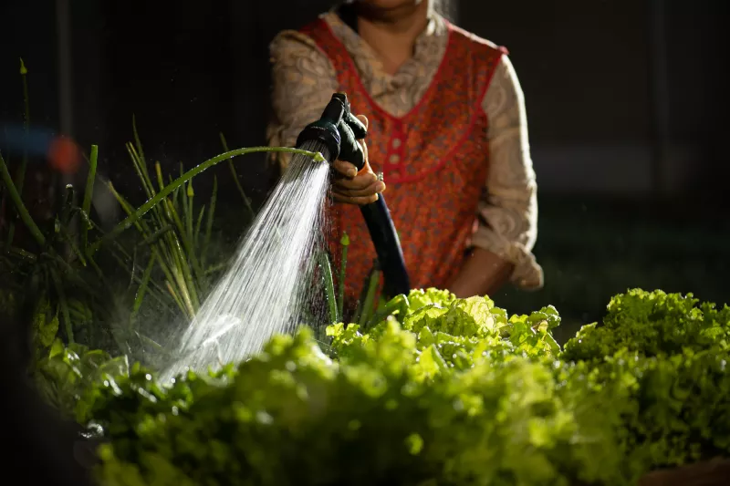 La Industria Mexicana de Coca-Cola (IMCC) cuida el agua del país