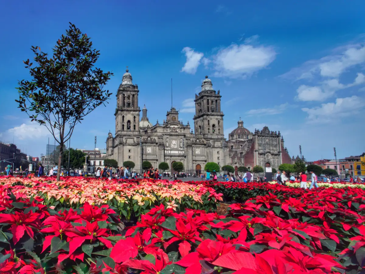 ¡De vacaciones en la CDMX! 
