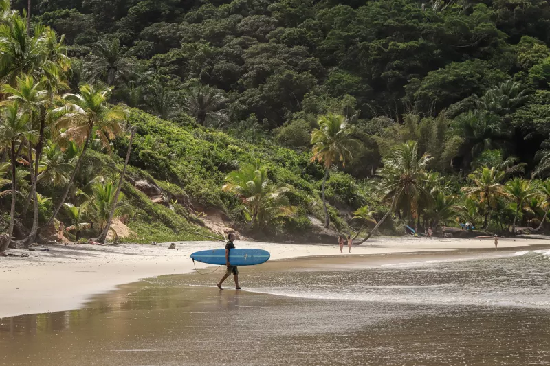 surf barracuda bahia brasil