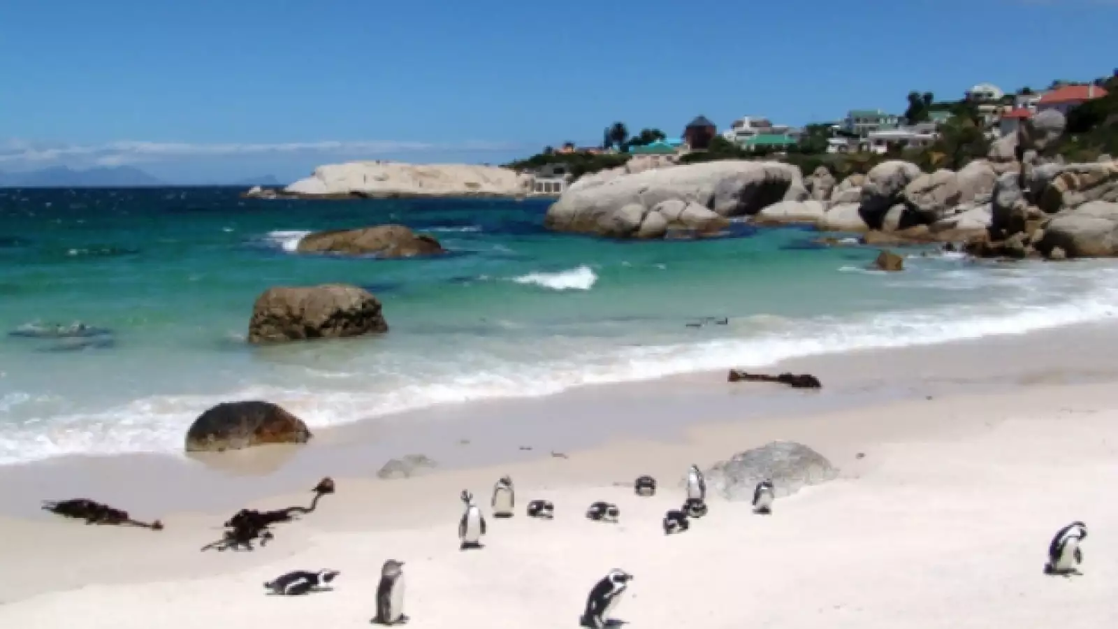 boulders playa sudafrica