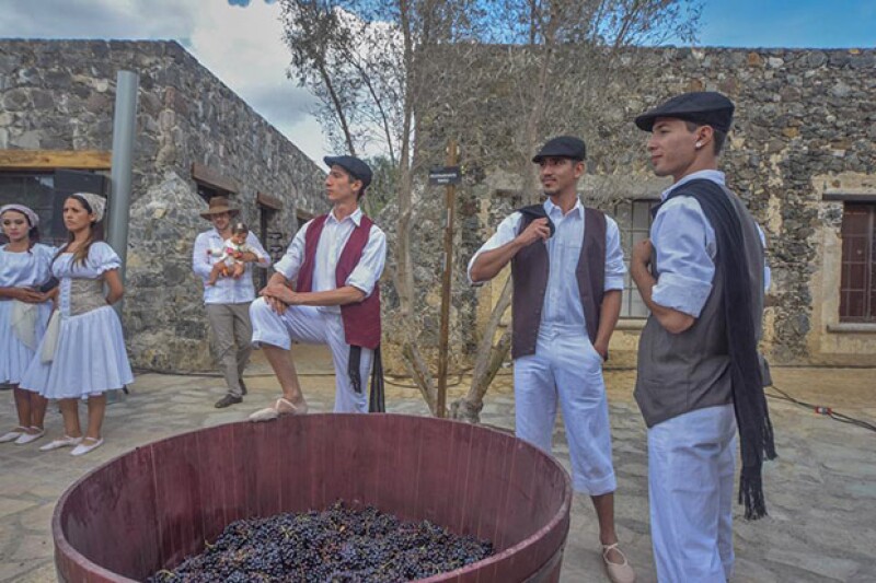 Como parte de la inauguración se llevó a cabo la tradicional pisa de la uva, con bailarines profesionales.