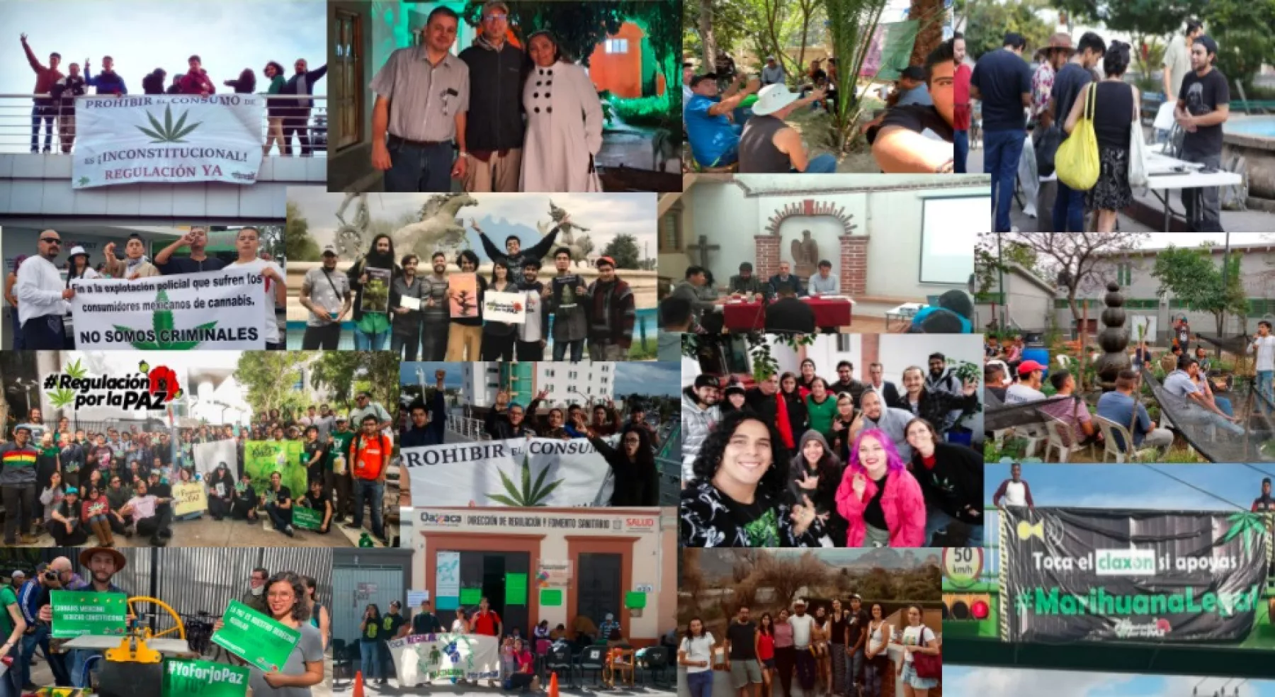 Foro de discusión sobre la marihuana.