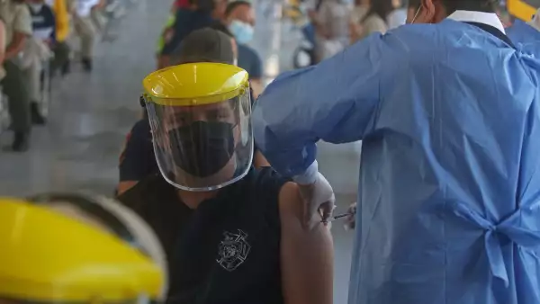 AMIS pandemia seguros COVID