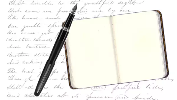 Escribe en un diario todas las noches.